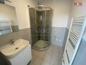Pronájem bytu 1+1, Nový Jičín, Dlouhá, 43 m2