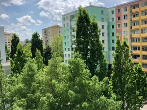Pronájem bytu 2+1, Olomouc, Zelená, 44 m2