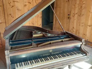 Prodej chalupy, Červená Voda, 265 m2