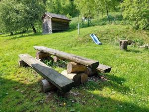 Prodej chalupy, Červená Voda, 265 m2