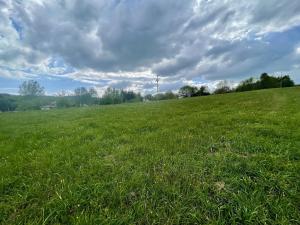Prodej pozemku, Čistá u Horek, 1000 m2
