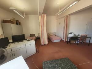 Pronájem bytu 1+kk, Brno, Josefská, 57 m2