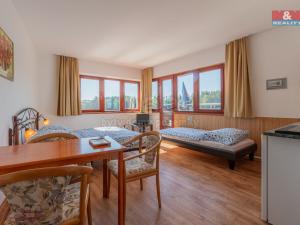 Prodej ubytování, Blažejov - Malý Ratmírov, 300 m2