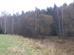 Prodej pozemku, Vyšší Brod, 2894 m2