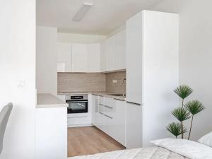 Pronájem bytu 1+kk, Brno, Lidická, 41 m2