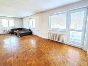 Prodej komerční nemovitosti, Horní Lhota, 564 m2