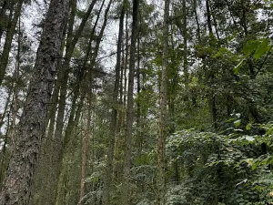 Prodej podílu pozemku, Plaňany, 23569 m2