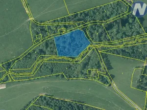 Prodej pozemku, Malšín, 8880 m2