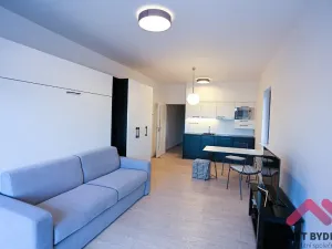 Pronájem bytu 1+kk, Praha - Karlín, U Mlýnského kanálu, 35 m2
