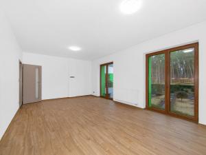 Pronájem bytu 1+kk, Plzeň, Bolevecká, 46 m2