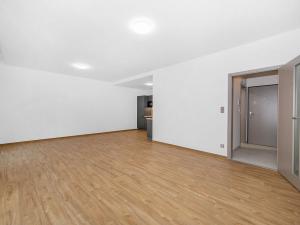Pronájem bytu 1+kk, Plzeň, Bolevecká, 46 m2