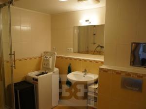 Pronájem bytu 1+kk, Praha - Holešovice, U měšťanského pivovaru, 54 m2