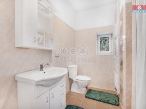 Pronájem bytu 1+kk, Plazy, 24 m2