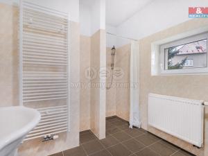 Pronájem bytu 1+kk, Plazy, 24 m2