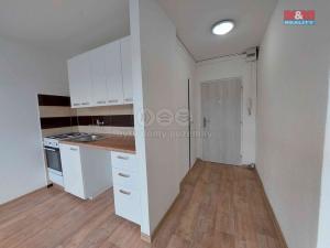 Pronájem bytu 1+1, Klášterec nad Ohří - Miřetice u Klášterce nad Ohří, Královéhradecká, 35 m2