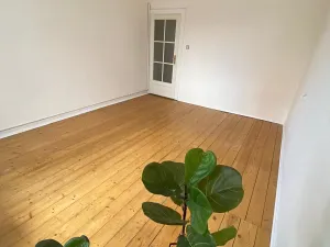 Prodej bytu 2+kk, Praha - Nusle, Na Pankráci, 55 m2