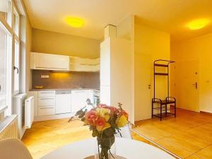 Pronájem bytu 1+kk, Brno, Úvoz, 51 m2