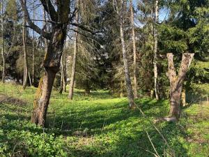 Prodej pozemku pro bydlení, Poniklá, 450 m2