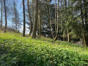 Prodej pozemku pro bydlení, Poniklá, 450 m2