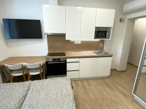 Pronájem bytu 1+kk, Zlín, Štefánikova, 24 m2