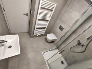 Pronájem bytu 1+kk, Brno, Placzkova, 29 m2