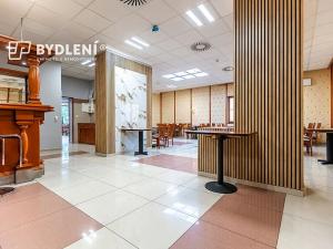 Pronájem restaurace, Teplice, U Nových lázní, 541 m2