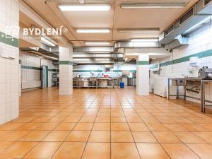 Pronájem restaurace, Teplice, U Nových lázní, 541 m2