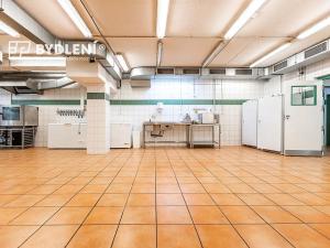 Pronájem restaurace, Teplice, U Nových lázní, 541 m2