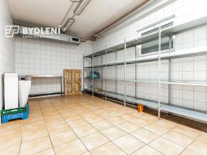 Pronájem restaurace, Teplice, U Nových lázní, 541 m2