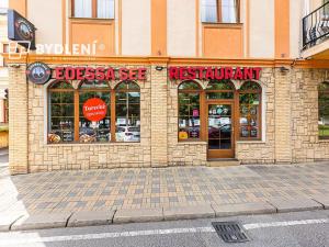 Pronájem restaurace, Teplice, U Nových lázní, 541 m2