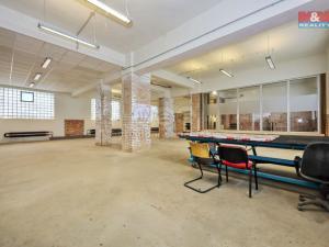 Pronájem výrobních prostor, Havlíčkův Brod, Humpolecká, 250 m2