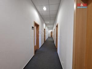 Pronájem kanceláře, Cheb, Májová, 12 m2