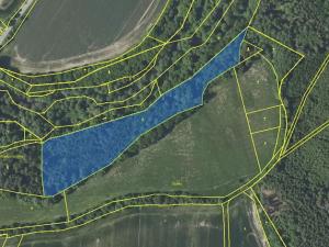 Prodej pozemku, Louňovice pod Blaníkem, 23891 m2