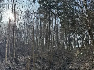 Prodej pozemku, Louňovice pod Blaníkem, 23891 m2