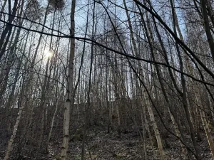 Prodej pozemku, Louňovice pod Blaníkem, 23891 m2
