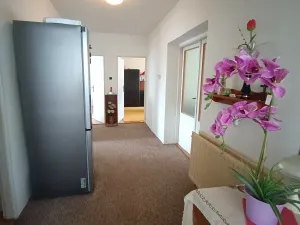 Prodej rodinného domu, Velké Pavlovice, Pod Břehy, 177 m2