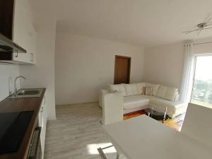 Pronájem bytu 2+kk, Plzeň, U Velkého rybníka, 58 m2