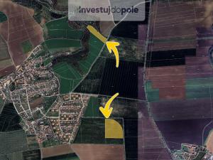 Prodej pole, Holubice - Kozinec, 10992 m2
