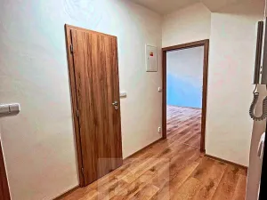 Pronájem bytu 2+kk, Plzeň, Pod Švabinami, 60 m2