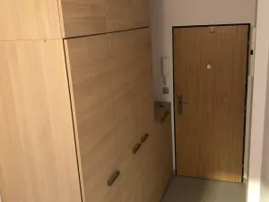 Pronájem bytu 2+kk, Plzeň, Houškova, 46 m2