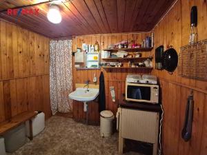 Prodej pozemku pro bydlení, Borušov, 35 m2