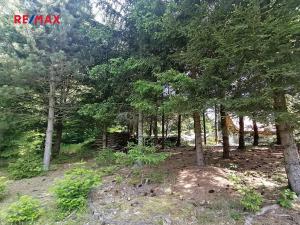 Prodej pozemku pro bydlení, Borušov, 35 m2