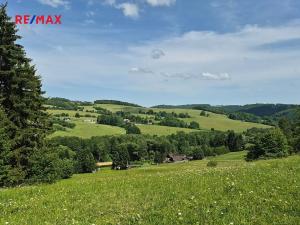 Prodej pozemku pro bydlení, Borušov, 35 m2