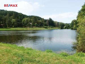 Prodej pozemku pro bydlení, Borušov, 35 m2