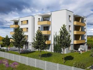 Prodej bytu 1+kk, České Budějovice, Šroubárenská, 41 m2