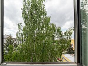Pronájem bytu 1+kk, Praha - Vršovice, Kubánské náměstí, 18 m2