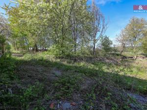 Prodej pozemku pro bydlení, Lestkov - Domaslav, 772 m2