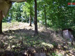 Prodej chaty, Bechyně - Hvožďany, 40 m2