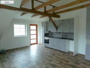 Pronájem bytu 1+kk, Nečín, 44 m2