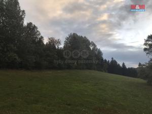 Prodej pole, Spělkov, 25164 m2